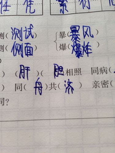 節省的意思|「節省」意思是什麼？節省造句有哪些？節省的解釋、用法、例句